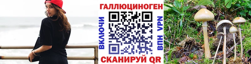 нарко площадка Telegram  Давлеканово  Галлюциногенные грибы Cubensis 